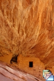 mule canyon